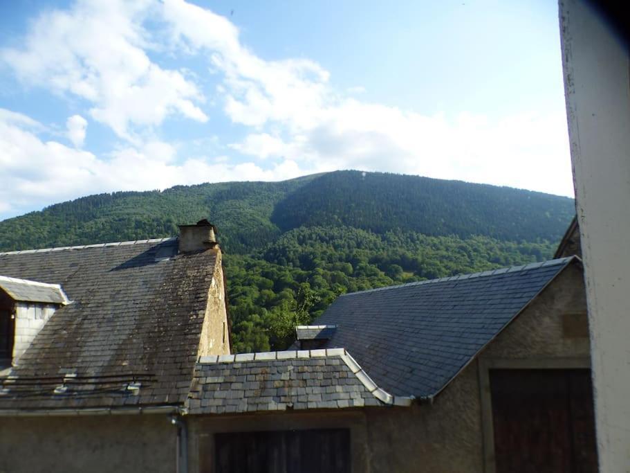 Maison Familiale Pour 8 Saint-Aventin Exterior foto